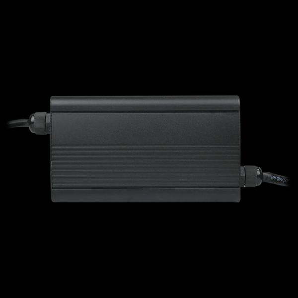 LiFePO4 мод.12V (14.6V)-20A-240W Зарядний пристрій для акумуляторів 99-00011672 фото