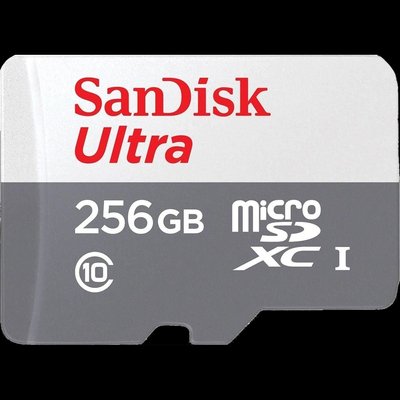 SanDisk Ultra microSDXC 256GB 100MB/s Class 10 UHS-I Модуль флэш-памяти 30339 фото