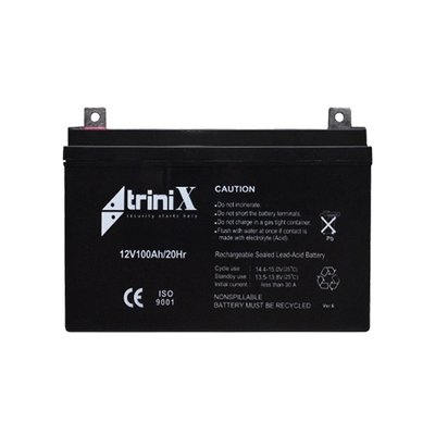 Trinix Акумулятор 12В 100А/г 99-00008385 фото